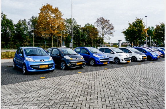 Bugs op een rij
