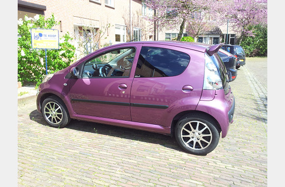 een mooi schoon paars monster