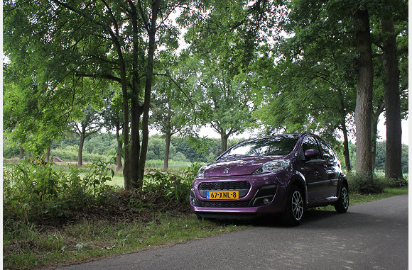 in het bos heb je bug's