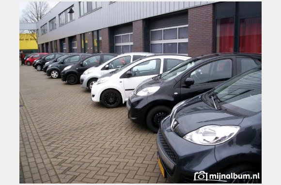mooie neuzen
