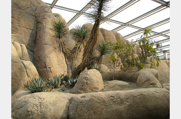 de desert