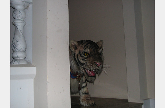 Tijgers
