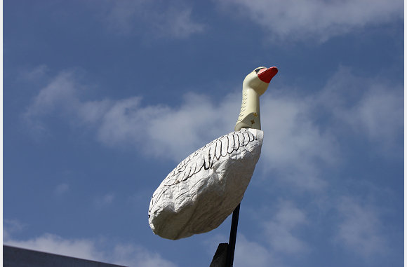 en fier staat hij op het dak