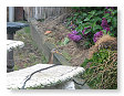 Eenden in de tuin