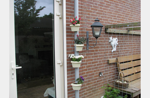 13 juni, alles bloeit