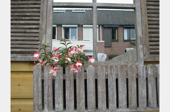 Spiegeltje spiegeltje aan de wand