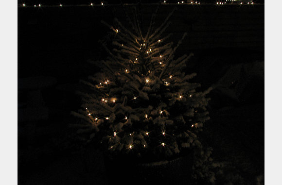 Leuk die lichtjes