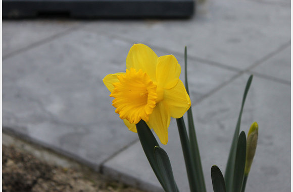 29 maart 2011