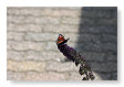we hadden er veel vandaag in de tuin