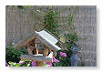 diverse huisjes in de tuin