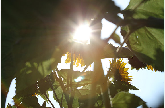 en spelen met de zon