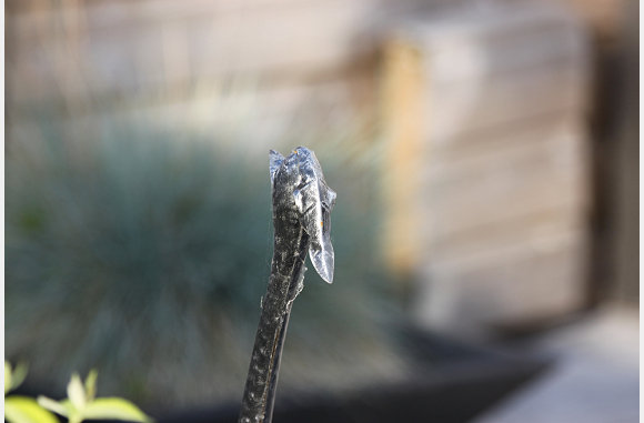 een andere gietijzeren vogel