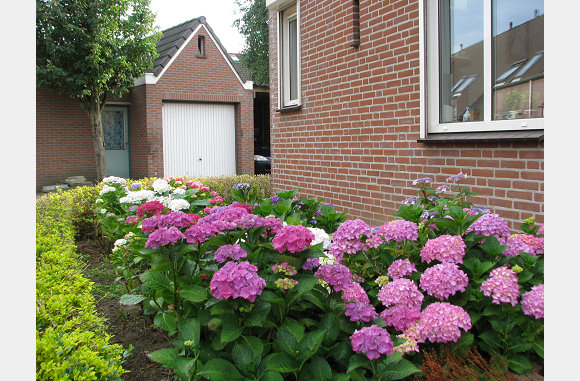 Ik ben er helemaal weg van
