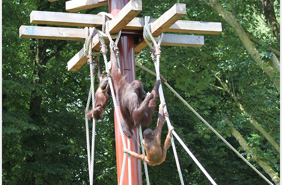 beetje hangen
