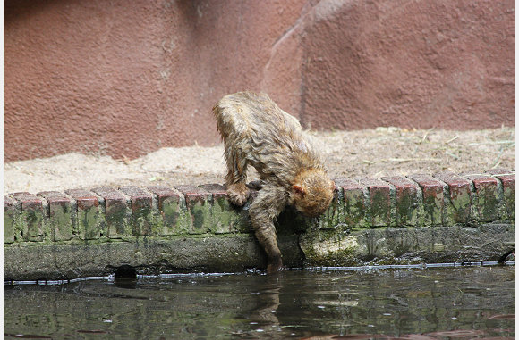 met water spelen