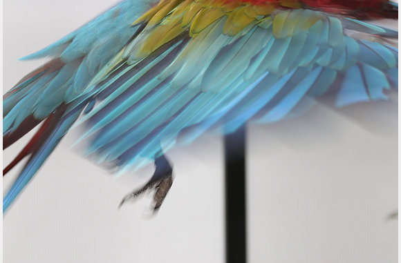 in vogelvlucht