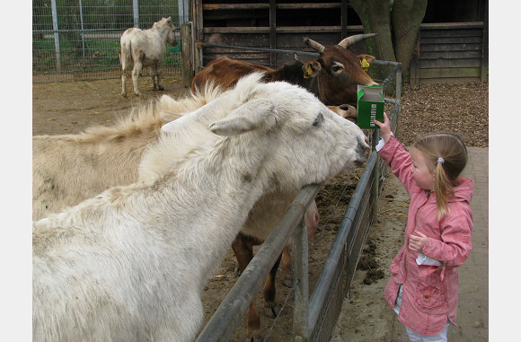 Ook de andere boerderijdieren moesten eten