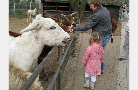 Honger hadden za allemaal